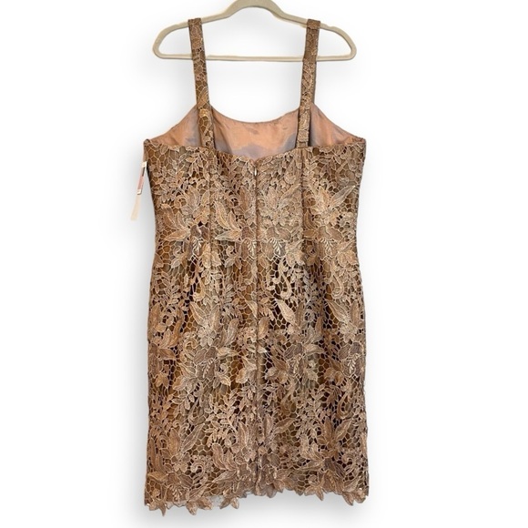 Tina Di Martina Champagne Gold Sleeveless Lace Knee Length Sheath Dress NWT - Picture 7 of 8